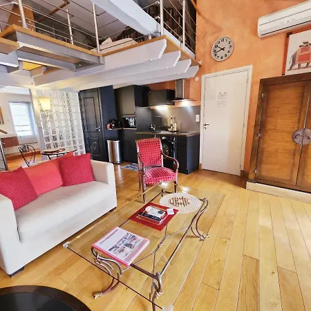 Beau Et Vaste Duplex Plateau Apartment *