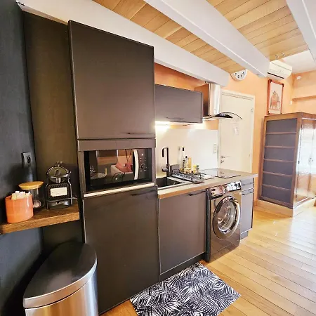 Beau Et Vaste Duplex Plateau Apartment