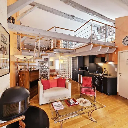 Beau Et Vaste Duplex Plateau Apartment *