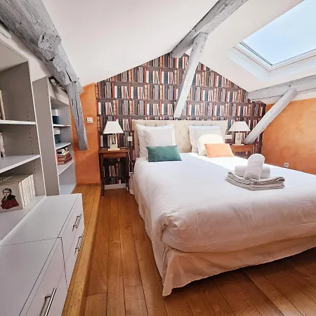Beau Et Vaste Duplex Plateau Apartment