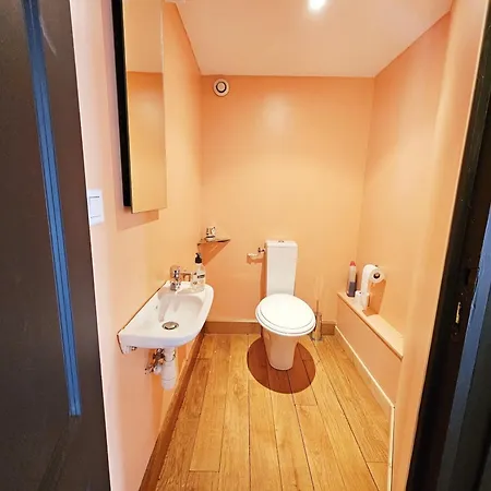Beau Et Vaste Duplex Plateau Apartment